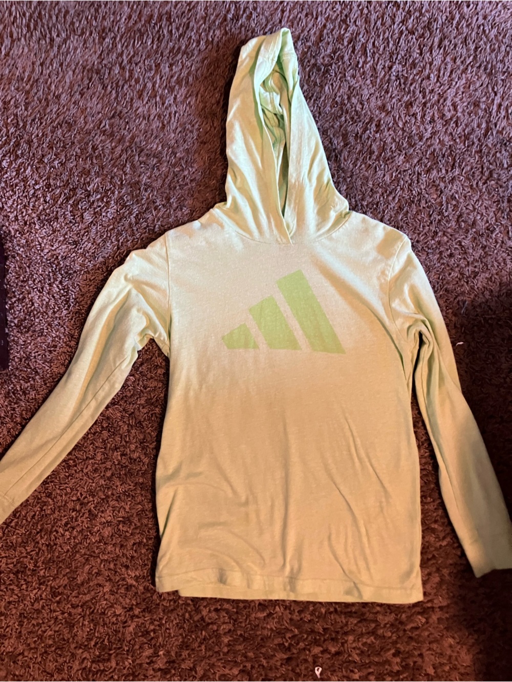 adidas Light Green Hooded Long Sleeve Tee